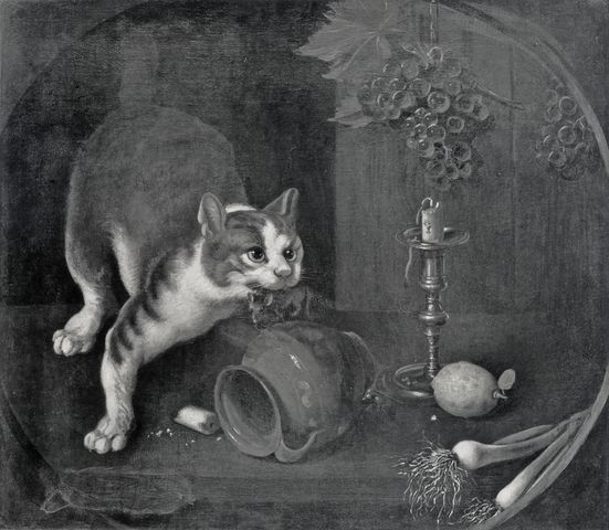 Arte Fotografica — Briglia Giovanni Francesco - sec. XVIII - Natura morta con frutta, cipollotti, gatto e topo — insieme